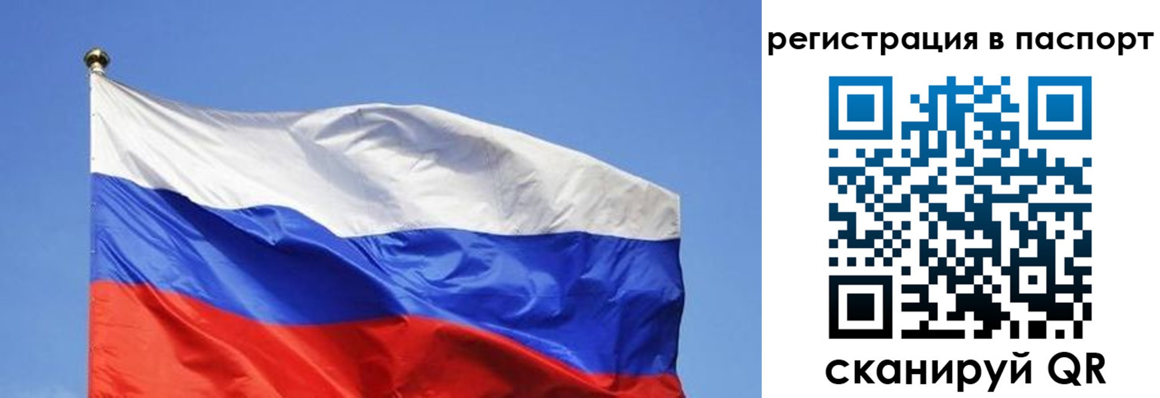 прописка в квартире в Новосибирске